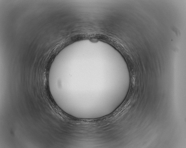 X0000115691204200911121000