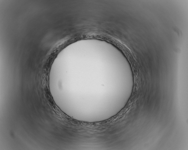 X0000115691207200911121000