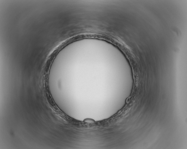 X0000115691208200911121000