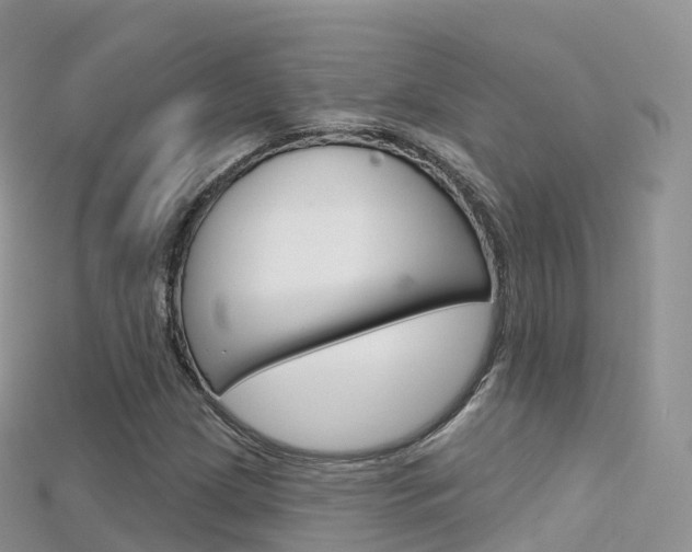 X0000115691209200911121000