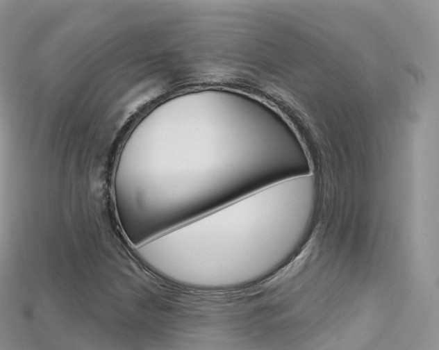 X0000115691210200911121000