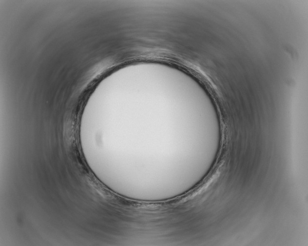 X0000115691211200911121000