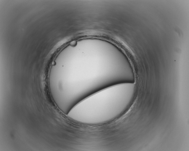 X0000115691213200911121000