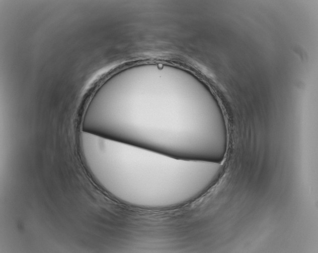 X0000115691214200911121000