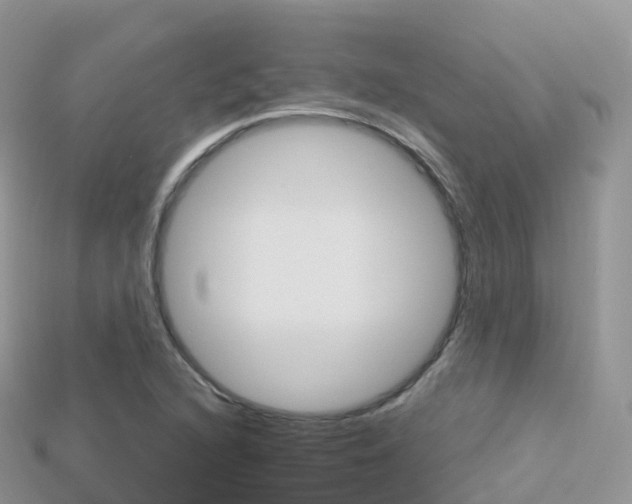 X0000115691216200911121000