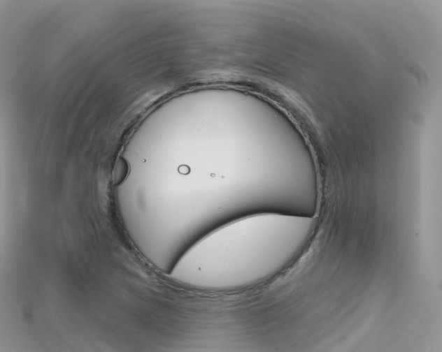 X0000115691217200911121000
