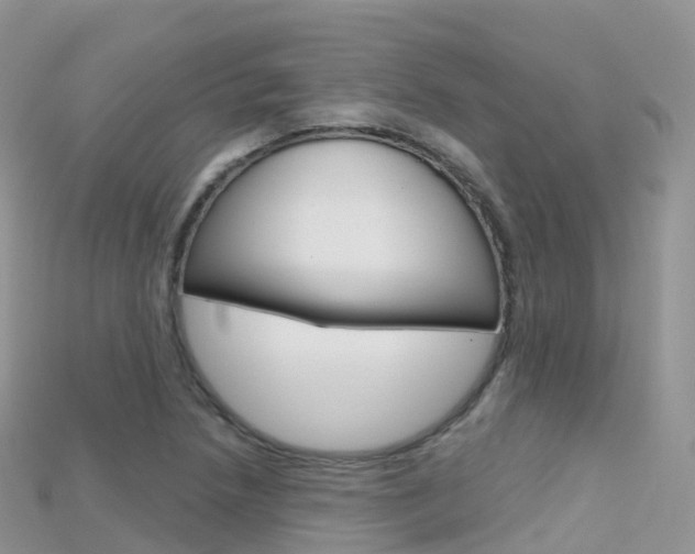 X0000115691218200911121000