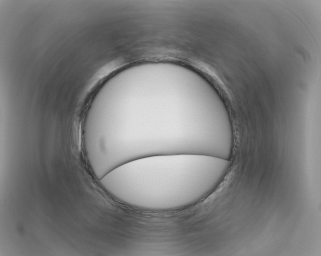 X0000115691219200911121000