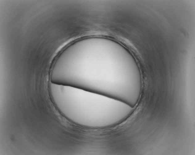 X0000115691220200911121000