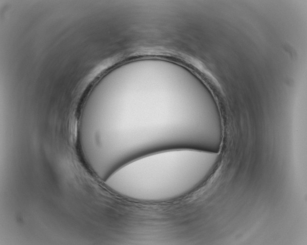 X0000115691221200911121000