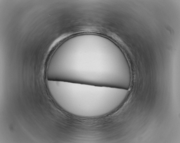 X0000115691222200911121001