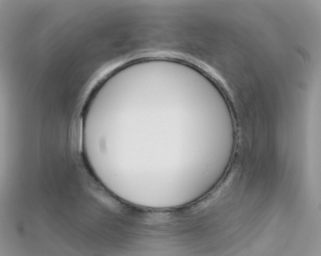 X0000115691223200911121001