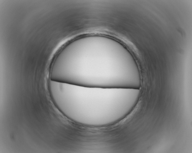 X0000115691224200911121001