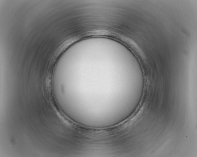 X0000115691225200911121001