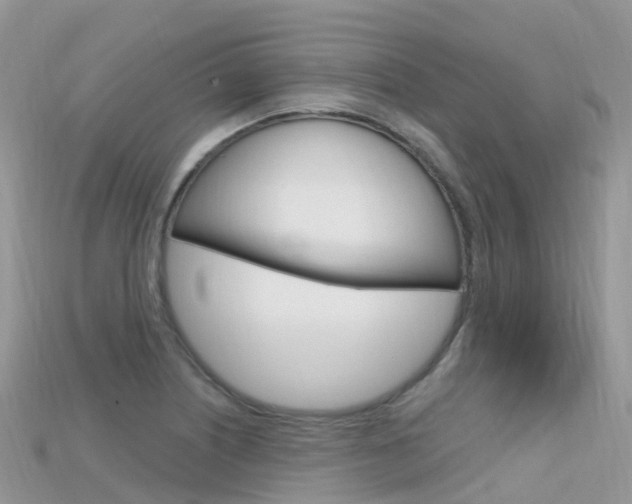 X0000115691226200911121001