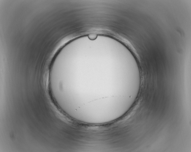 X0000115691227200911121001