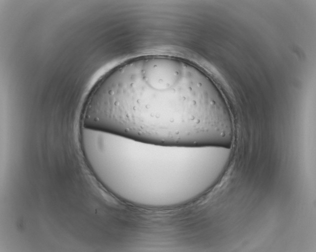 X0000115691230200911121001