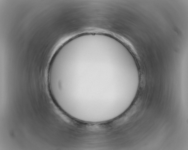 X0000115691231200911121001