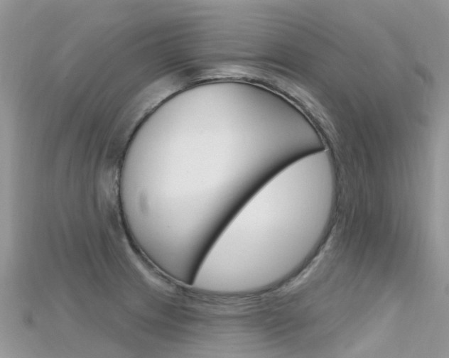 X0000115691233200911121001