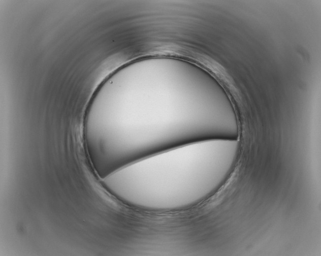 X0000115691234200911121001