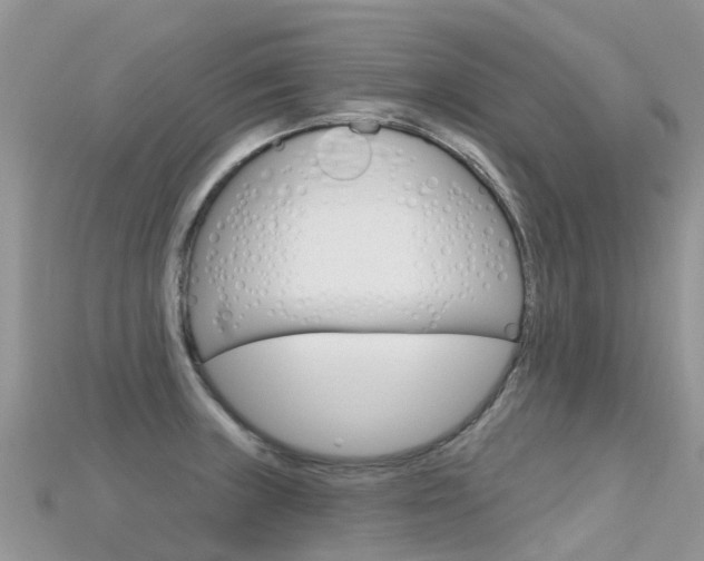X0000115691235200911121001
