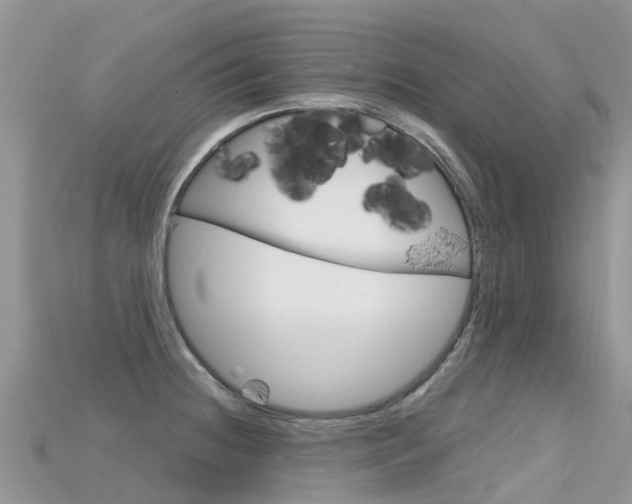 X0000115691236200911121001