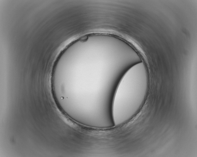 X0000115691237200911121001