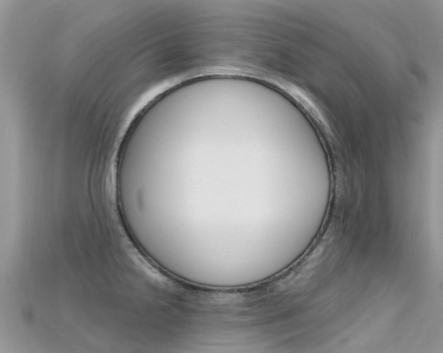 X0000115691238200911121001