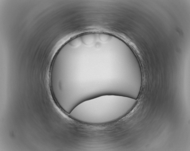 X0000115691239200911121001