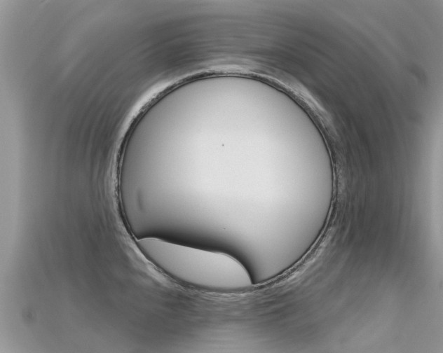 X0000115691240200911121001