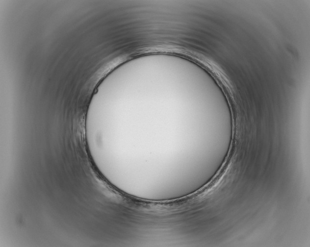 X0000115691241200911121001