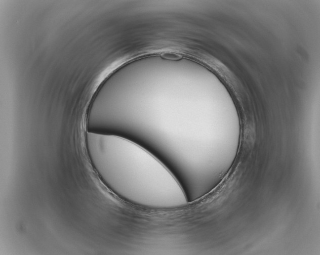 X0000115691242200911121001