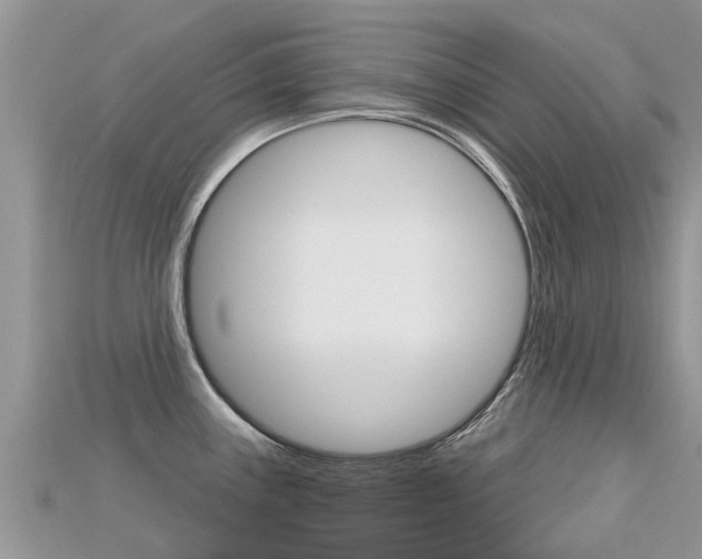 X0000115691243200911121001