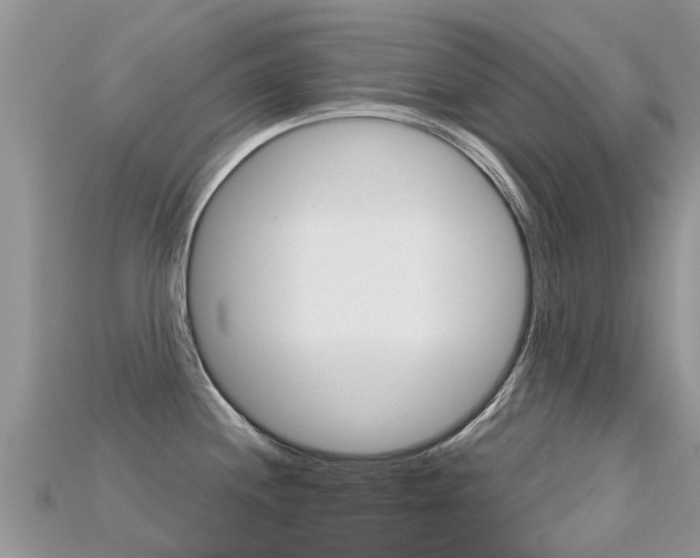 X0000115691244200911121001