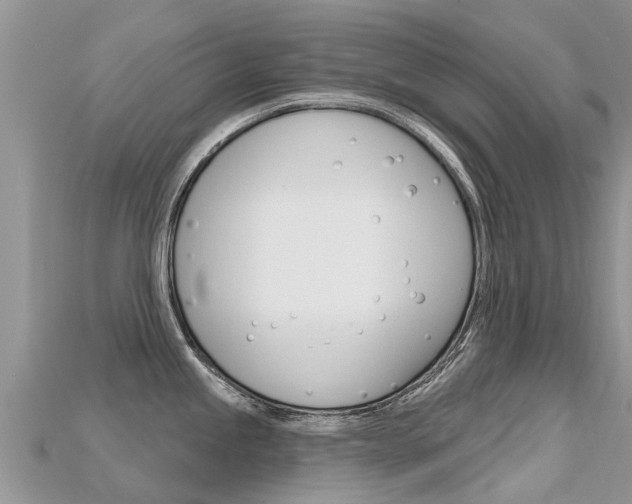 X0000115691245200911121001