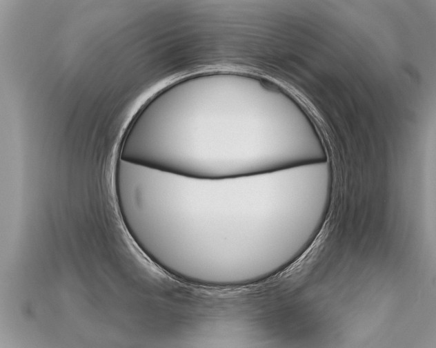 X0000115691246200911121001