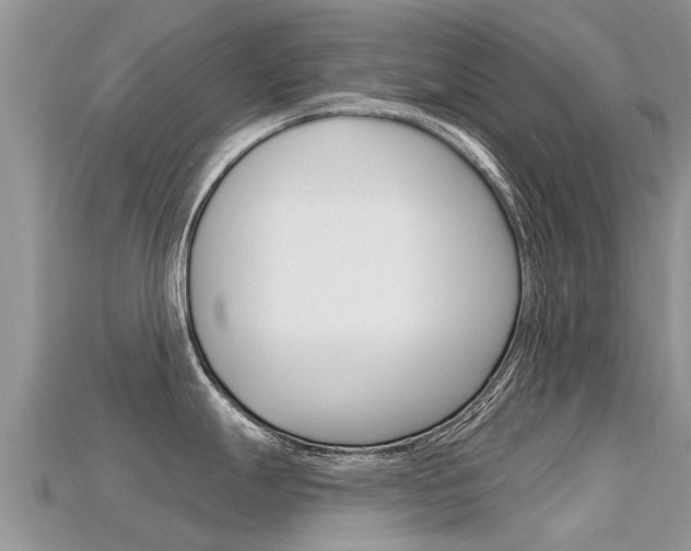 X0000115691247200911121001