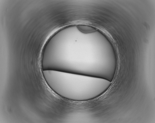 X0000115691248200911121001
