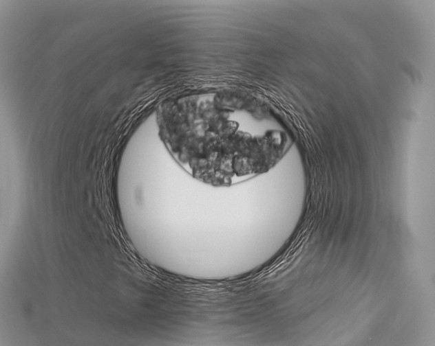 X0000115691249200911121000