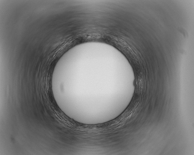 X0000115691250200911121000
