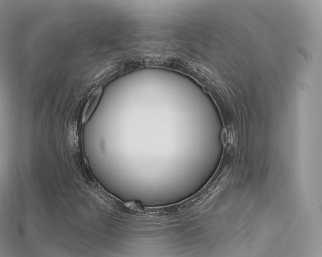 X0000115691252200911121000