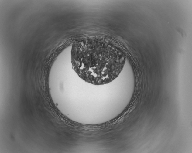 X0000115691253200911121000