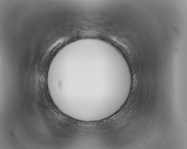 X0000115691254200911121000