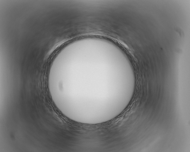 X0000115691255200911121000