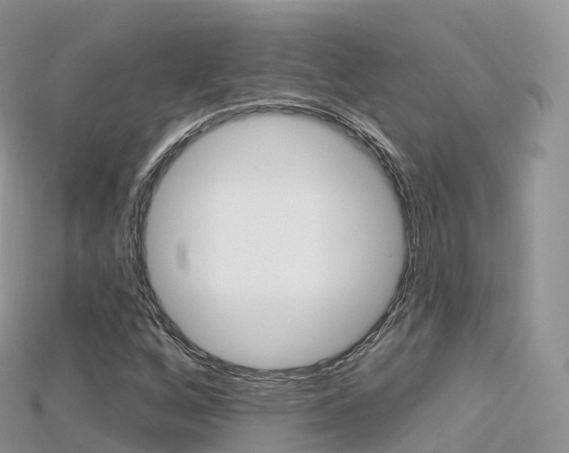 X0000115691256200911121000