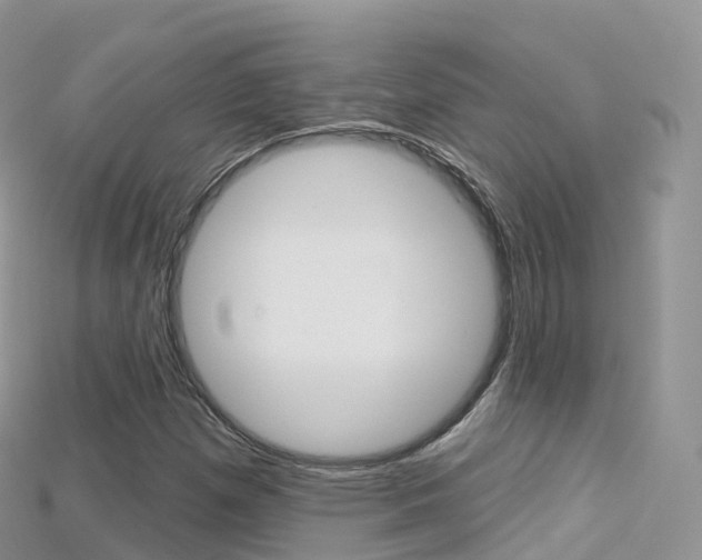 X0000115691257200911121000