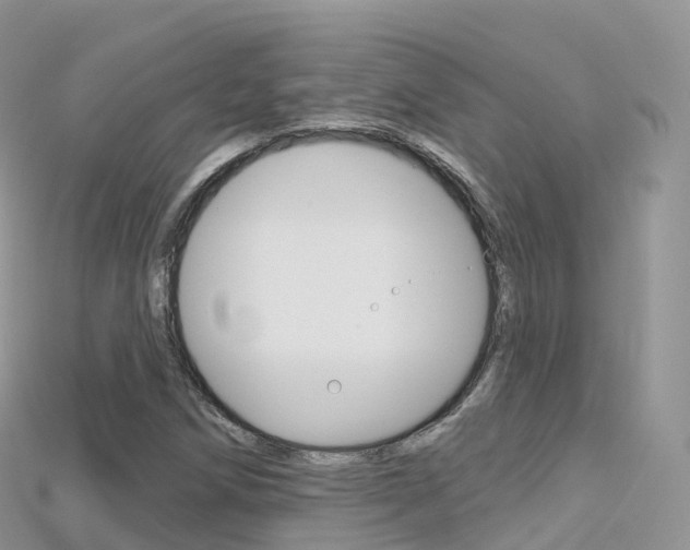 X0000115691258200911121000