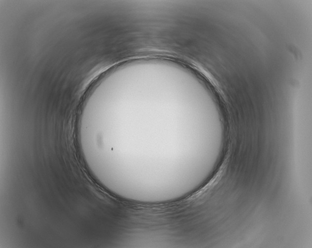 X0000115691259200911121000