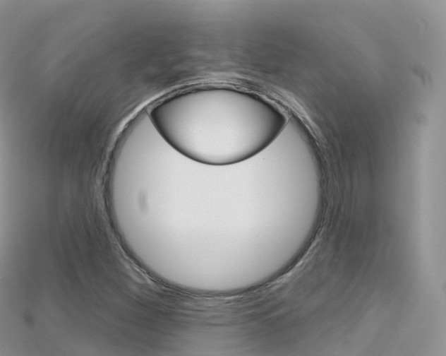 X0000115691260200911121000