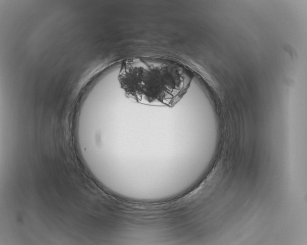 X0000115691261200911121000